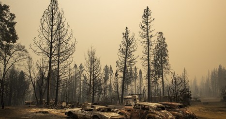 California fires: Fresh anxiety as winds complicate battle | Coastal Restoration | Scoop.it