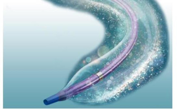 IN.PACT AV post-approval study &ldquo;shows consistency of DCB for AV fistula maintenance&rdquo; | Interventional Cardiology | Scoop.it