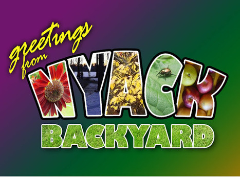 Nyack Backyard: Gardening With Kids: Ten Things That Work | Homework Helpers | Scoop.it