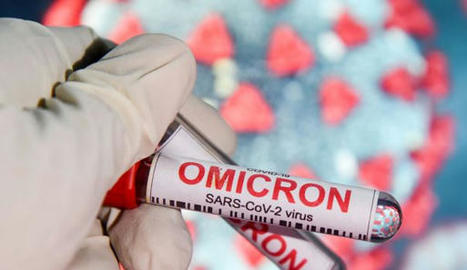 Covid-19 : Omicron BA.5, BA.4.6... Avec la 8e vague, un futur variant dominant ? - L'Express | Crise sanitaire | Scoop.it