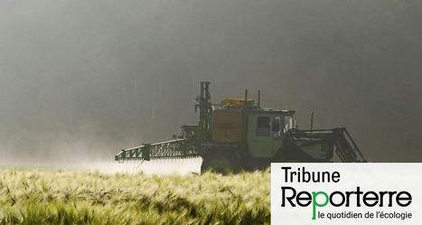 Pesticides : des autorisations trop complaisantes | Toxique, soyons vigilant ! | Scoop.it