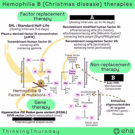 European Hematology Association (EHA) on LinkedIn: #thinkingthursday #hemophilia #genetherapy | CME-CPD | Scoop.it
