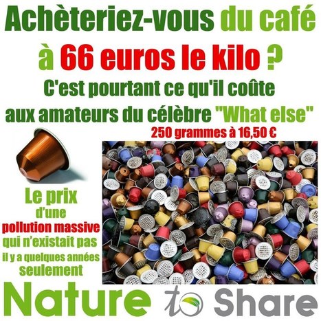 Achèteriez-vous du café à 66 euros le kilo pour polluer la planète ? | Toxique, soyons vigilant ! | Scoop.it