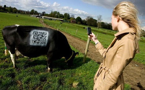 Les QRcodes ont eu la peau des vaches | QR-Code and its applications | Scoop.it