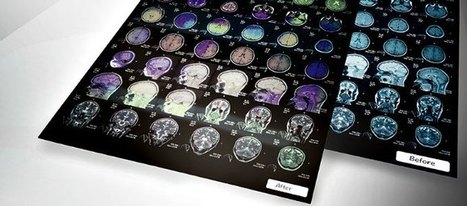 Your Brain on Learning | Learning and Working | Scoop.it