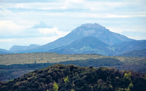 Limoux: cr&egrave;me de cr&eacute;mant | Bugarach | Scoop.it