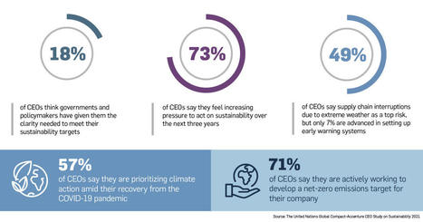 Businesses need clearer governance to get to net zero - CEO survey | Daily Magazine | Scoop.it