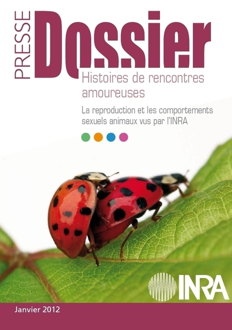 Reproduction animale et comportements sexuels animaux | INRA | EntomoNews | Scoop.it