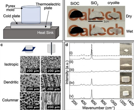 Clear as mud redefined: Tunable transparent mineral scaffolds for visualizing microbial processes below ground | pnas | RMH | Scoop.it