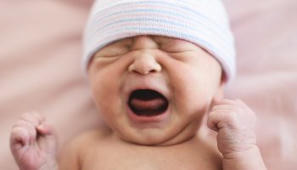 Suomen Yritt&auml;j&auml;t: 10 000 euron tuki esikoisesta | Demokraatti.fi | 1Uutiset - Lukemisen t&auml;hden | Scoop.it