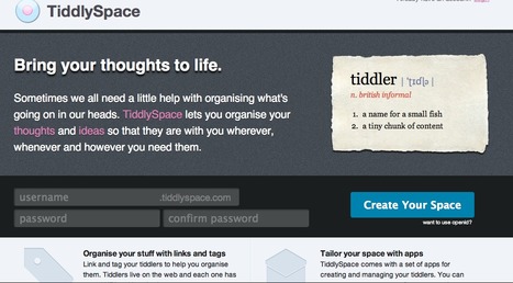 tiddlyspace - bring your thoughts to life | information analyst | Scoop.it