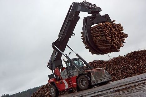Nyt on metsänomistajan helppo hymyillä – teollisuus tarvitsee pian puuta enemmän kuin koskaan | 1Uutiset - Lukemisen tähden | Scoop.it