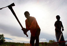 Afrique du Sud : le débat sur la réforme agraire relancé | Questions de développement ... | Scoop.it