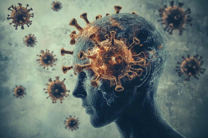 COVID's Inflammation Linked to Long-Term Brain Effects | Covid Report | Scoop.it