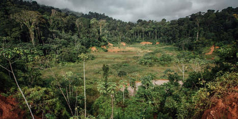 En Guyane, la justice enjoint à l’Etat de prolonger les concessions controversées de Montagne d’or | Les Colocs du jardin | Scoop.it