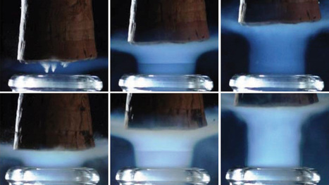Champagne bottles can release gas that resembles rocket exhaust | Le fil d'actualit&eacute;s de l'URCA | Scoop.it