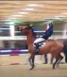 Chevalmag - Pénélope Leprévost au cœur d’une polémique | Cheval et sport | Scoop.it