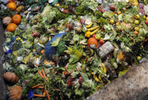 Pertes alimentaires : à chaque région sa solution | Une semaine d'actu - Newsletter de veille de l'AURH | Scoop.it