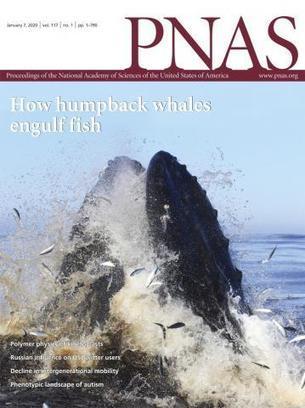 Measuring actual learning versus feeling of learning in response to being actively engaged in the classroom | Capstone: An ESRM Coda | Scoop.it