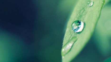 France tops global food sustainability index | IPCI : Ing&eacute;nierie de Produits &agrave; l'interface Cuisine-Industrie | Scoop.it