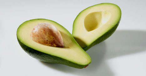The Long, Lonely Quest to Breed the Ultimate Avocado | Plant Biology Teaching Resources (Higher Education) | Scoop.it