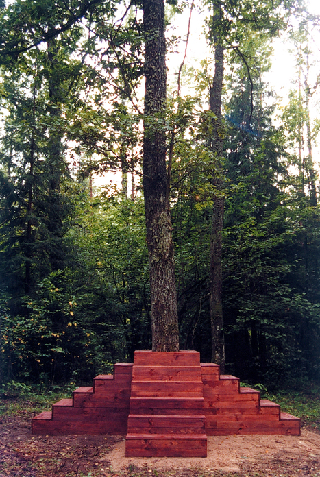 Wela: "The pedestal for a tree" | Art Installations, Sculpture, Contemporary Art | Scoop.it