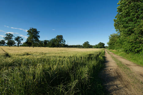 EUROPEAN agriculture is under pressure | CIHEAM Press Review | Scoop.it