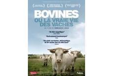 BOVINES ou la vraie vie des vaches, Actualités générales - Pleinchamp | SCIENCES DE L' ANIMAL | Scoop.it