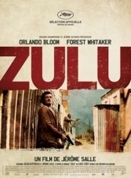 Cin&eacute;ma Afrique du sud : Film &laquo;&nbsp;Zulu&nbsp;&raquo; par J&eacute;r&ocirc;me Salle | Actions Panafricaines | Scoop.it