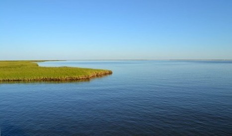 Question for Louisiana: Will enough coast be restored to justify the cost? | Opinion | Coastal Restoration | Scoop.it
