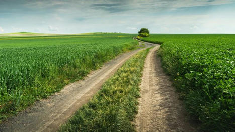 EUROPE : Tie farming subsidies to performance, OECD tells EU&nbsp; | CIHEAM Press Review | Scoop.it