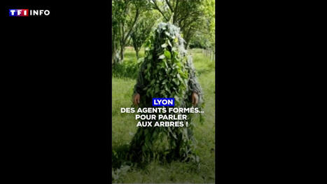 À Lyon, des agents formés pour parler... aux arbres ! | Plusieurs idées pour la gestion d'une ville comme Namur | Scoop.it