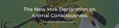 La Déclaration de New York sur la conscience animale | Insect Archive | Scoop.it