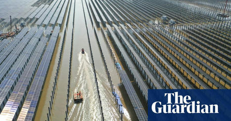 China’s carbon emissions set for structural decline from next year | Energy industry | The Guardian | International Economics: IB Economics | Scoop.it