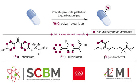 FOCUS PLATEFORME : Marquage isotopique : Une nouvelle méthode permettant l’incorporation multi-site d’isotopes de l’hydrogène dans des molécules complexes | Life Sciences Université Paris-Saclay | Scoop.it