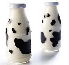 Les Producteurs de produits laitiers vietnamiens se dirigent vers le marché chinois lucratif | Lait de Normandie... et d'ailleurs | Scoop.it