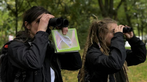 Observer les oiseaux &agrave; Lille : un projet de cohabitation avec la biodiversit&eacute; | Nature en ville | Scoop.it