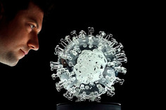 It’s Still Hard to Predict Who Will Die From Covid-19 - Bloomberg | Covid Report | Scoop.it