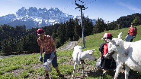 Bénévoles à l'assaut des pistes de ski pour ramasser les déchets | Tourisme Durable - Slow | Scoop.it