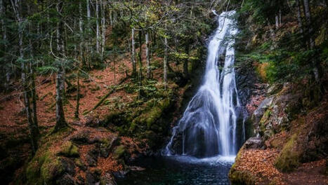 De l'eau coule sous les ponts | Regards croisés sur la transition écologique | Scoop.it