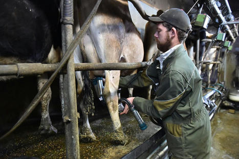 Les coopératives agricoles s’opposent à la création d’un « rémunéra-score » | Actualité Bétail | Scoop.it