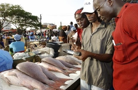 Avis de recherche : vous avez une appli mobile pour l'agriculture africaine ? Participez au défi mAgri! | Innovation Sociale et Entrepreneuriat Social | Scoop.it