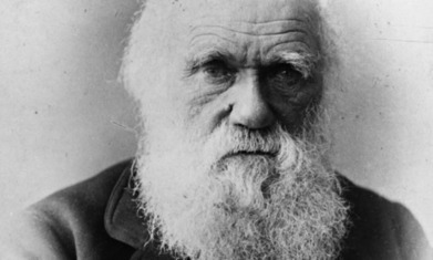 How to teach &hellip; Darwin and the theory of evolution | Rainforest CLASSROOM | Scoop.it
