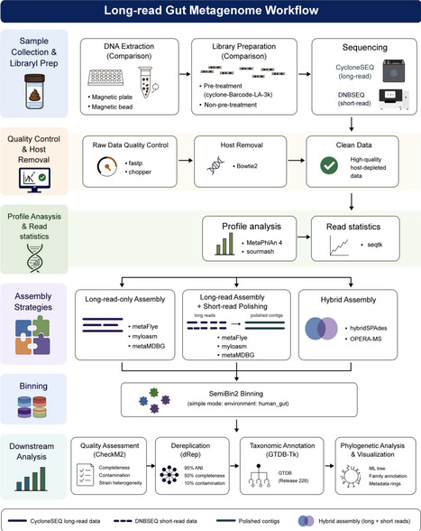 Integrated optimization of experimental and computational workflows improves genome recovery in long-read gut metagenomics | brvbi | RMH | Scoop.it