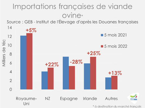 Les importations françaises de viande ovine se redressent mais restent modestes | Actualité Bétail | Scoop.it