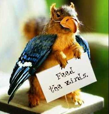 Little beggar | Garden Humor | Scoop.it