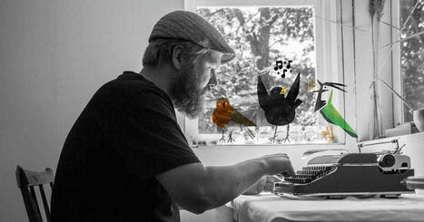 Lokki nakkikioskilla ja tikka hipsterinä – lue kuusi Sanoita linnunlaulu -runokilpailun urbaania runoa ja äänestä | Yle Luonto | Yle | 1Uutiset - Lukemisen tähden | Scoop.it