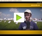 Campagnols : la lutte s’organise autour de trois leviers | Graines de doc | Scoop.it