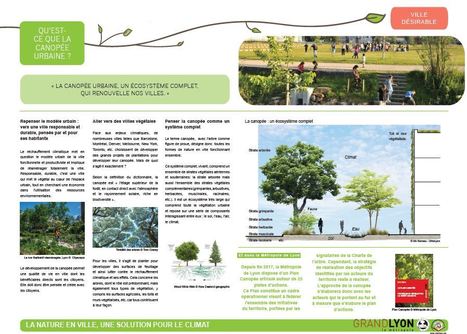 URBALYON&nbsp;&nbsp;:  Rep&egrave;res europ&eacute;ens Canop&eacute;/Sant&eacute;&nbsp; :  11 Juillet 2019 | Veille UrbaLyon : Cities in Europe ... : Best practises, Be Inspire ! | Scoop.it