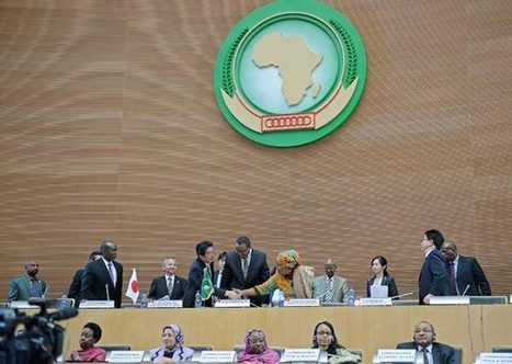 Objectif de l'Union Africaine : bannir la famine sur le continent | Questions de développement ... | Scoop.it